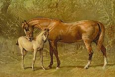 Clydesdale Stallion and Mare-Samuel Sidney-Art Print