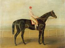 Voltigeur, with Job Marson Up-Samuel Spode-Premier Image Canvas