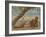 Samuel Under a Tree, Jamaica-Henry Scott Tuke-Framed Giclee Print