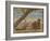 Samuel under a Tree, Jamaica-Henry Scott Tuke-Framed Giclee Print