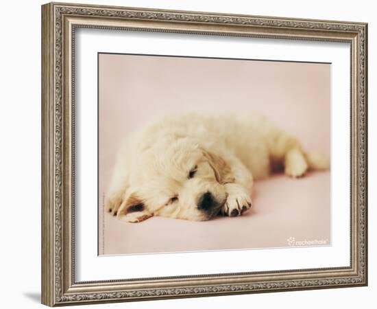 Samuel-Rachael Hale-Framed Photo