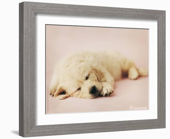 Samuel-Rachael Hale-Framed Photo