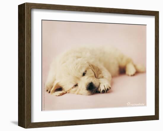 Samuel-Rachael Hale-Framed Photo