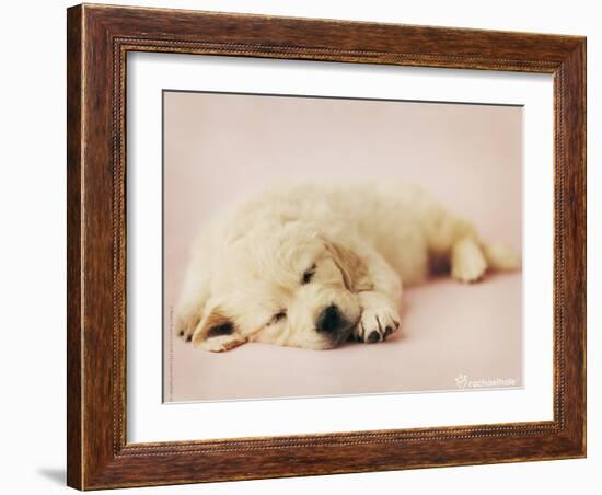 Samuel-Rachael Hale-Framed Photo