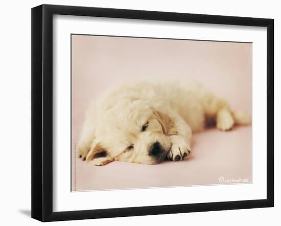 Samuel-Rachael Hale-Framed Photo