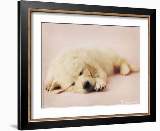 Samuel-Rachael Hale-Framed Photo