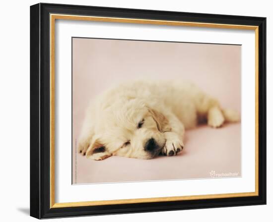 Samuel-Rachael Hale-Framed Photo