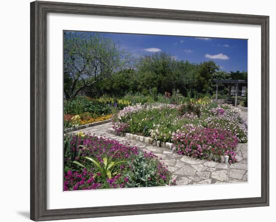 San Antonio Botanical Gardens, Texas, USA-null-Framed Photographic Print