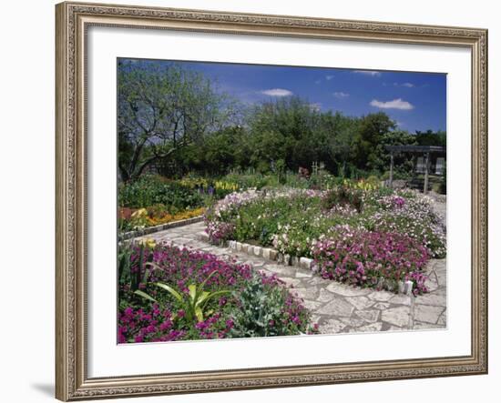 San Antonio Botanical Gardens, Texas, USA-null-Framed Photographic Print