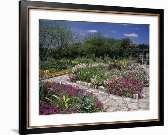 San Antonio Botanical Gardens, Texas, USA-null-Framed Photographic Print