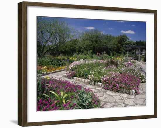 San Antonio Botanical Gardens, Texas, USA-null-Framed Photographic Print