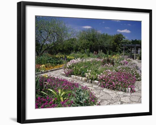 San Antonio Botanical Gardens, Texas, USA-null-Framed Photographic Print