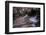 San Antonio Riverwalk, San Antonio, Texas, United States of America, North America-Jim Nix-Framed Photographic Print