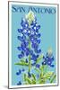 San Antonio, Texas - Bluebonnet-Lantern Press-Mounted Art Print