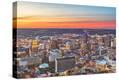 Stretched Canvas Print