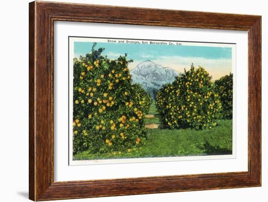 San Bernardino County, California - View of Snow-Capped Mountains and Orange Trees, c.1921-Lantern Press-Framed Art Print