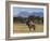 San Cristobal Volcano, Nr. Chichigalpa, Chinandega, Nicaragua-John Coletti-Framed Photographic Print