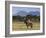 San Cristobal Volcano, Nr. Chichigalpa, Chinandega, Nicaragua-John Coletti-Framed Photographic Print