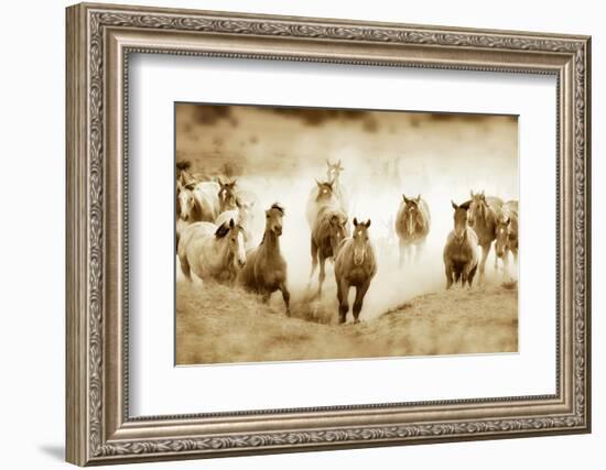 San Cristobol Horses-Lisa Dearing-Framed Photographic Print