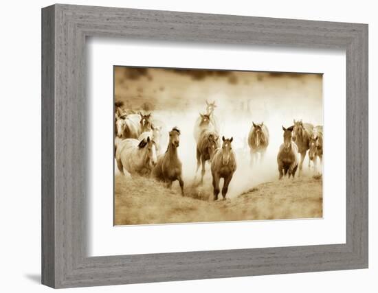San Cristobol Horses-Lisa Dearing-Framed Photographic Print
