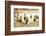 San Cristobol Horses-Lisa Dearing-Framed Photographic Print