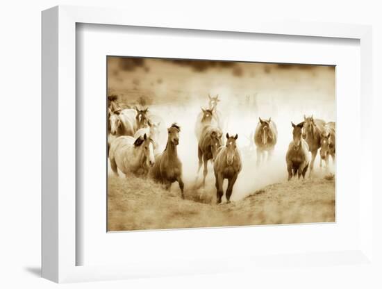 San Cristobol Horses-Lisa Dearing-Framed Photographic Print