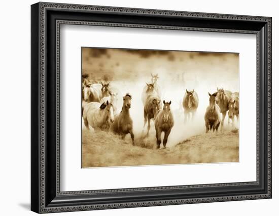 San Cristobol Horses-Lisa Dearing-Framed Photographic Print