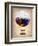 San Diego Air Balloon-NaxArt-Framed Art Print