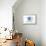 San Diego, California - Compass - Blue - Coastal Icon-Lantern Press-Framed Stretched Canvas displayed on a wall