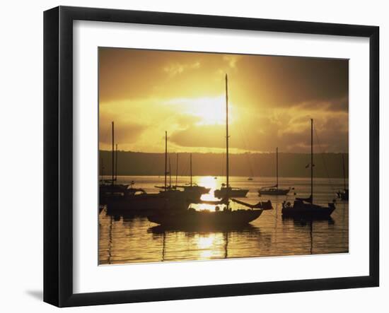 San Diego, California, USA-null-Framed Photographic Print