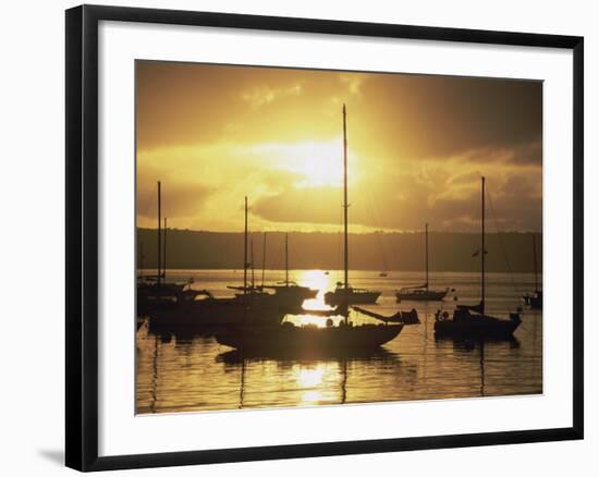 San Diego, California, USA-null-Framed Photographic Print