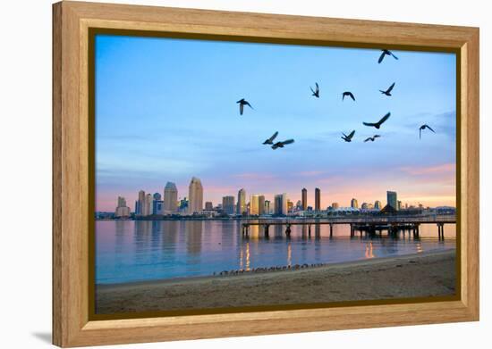 San Diego City Scape at Dawn with Seagulls Flying in the Foreground-pdb1-Framed Premier Image Canvas