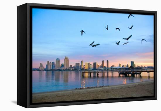 San Diego City Scape at Dawn with Seagulls Flying in the Foreground-pdb1-Framed Premier Image Canvas