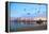 San Diego City Scape at Dawn with Seagulls Flying in the Foreground-pdb1-Framed Premier Image Canvas