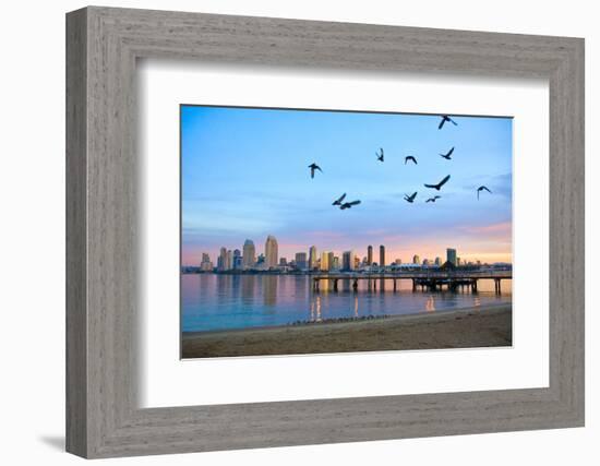 San Diego City Scape at Dawn with Seagulls Flying in the Foreground-pdb1-Framed Photographic Print