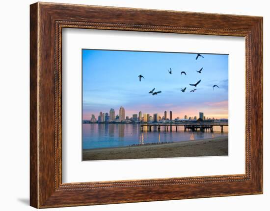 San Diego City Scape at Dawn with Seagulls Flying in the Foreground-pdb1-Framed Photographic Print