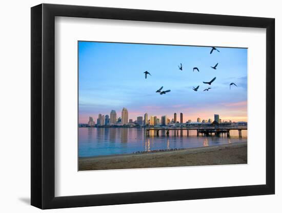 San Diego City Scape at Dawn with Seagulls Flying in the Foreground-pdb1-Framed Photographic Print