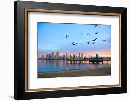 San Diego City Scape at Dawn with Seagulls Flying in the Foreground-pdb1-Framed Photographic Print