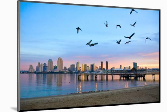 San Diego City Scape at Dawn with Seagulls Flying in the Foreground-pdb1-Mounted Photographic Print