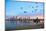 San Diego City Scape at Dawn with Seagulls Flying in the Foreground-pdb1-Mounted Photographic Print