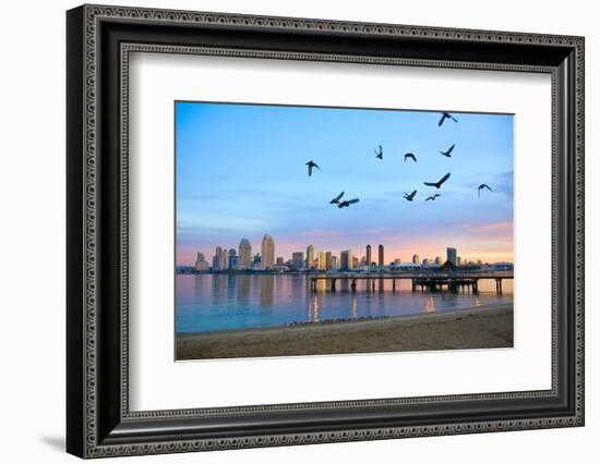 San Diego City Scape at Dawn with Seagulls Flying in the Foreground-pdb1-Framed Photographic Print