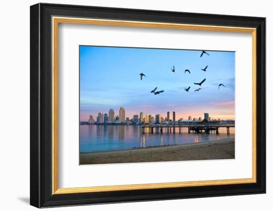 San Diego City Scape at Dawn with Seagulls Flying in the Foreground-pdb1-Framed Photographic Print