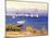 San Diego from Point Loma-Maurice Braun-Mounted Art Print