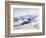 San Dunes Near Palm Springs-John Frost-Framed Art Print