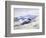 San Dunes Near Palm Springs-John Frost-Framed Premium Giclee Print