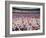 San Fermin Festival, Plaza De Toros, Pamplona, Navarra, Spain, Europe-Marco Cristofori-Framed Photographic Print