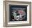 San Francisco 49er's First Game at Levi's Stadium, Santa Clara, California (9/14/14)-Mike Smith-Framed Art Print