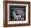 San Francisco 49er's First Game at Levi's Stadium, Santa Clara, California (9/14/14)-Mike Smith-Framed Art Print