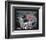 San Francisco 49er's First Game at Levi's Stadium, Santa Clara, California (9/14/14)-Mike Smith-Framed Art Print