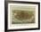 San Francisco Birds Eye View, c.1878-Charles R^ Parsons-Framed Art Print